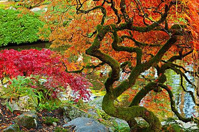 传闻称重生工作室已开发《星球大战绝地》新作超一年